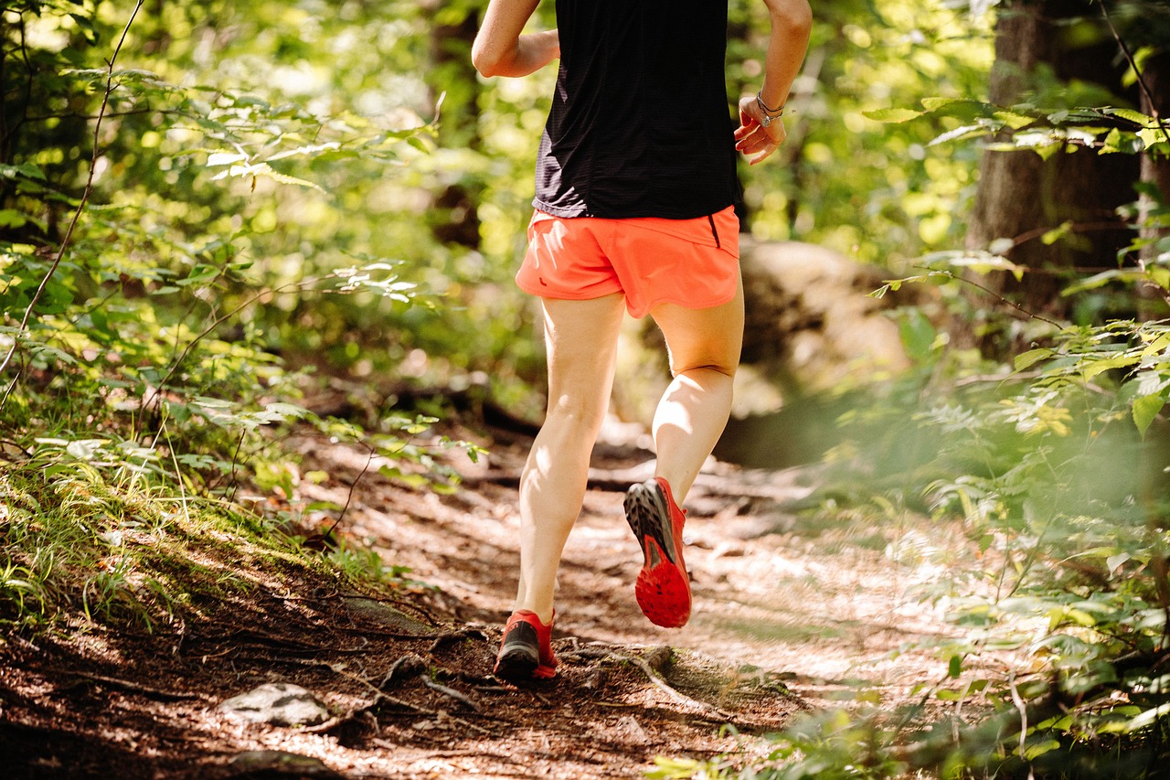 trail running forest woods 6497875